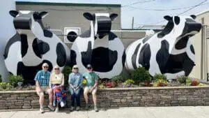 the-weekly-picture-in-the-front-of-the-cows
